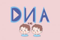 亲子鉴定费用大幅下降，普通家庭也能承担