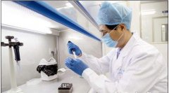 亲子鉴定的准确性与误差率：你需要了解的关键信息