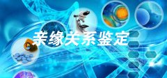 舅舅和侄子能做亲缘鉴定吗？——解析亲缘关系鉴定的流程与应用