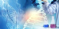亲子鉴定的科学：揭秘基因如何告诉我们真实的血缘