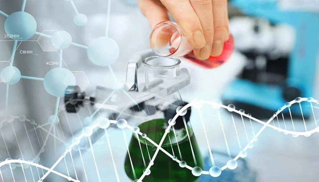 Y染色体和线粒体DNA分析：特殊DNA鉴定技术详解