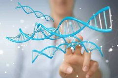 父系亲缘鉴定与母系亲缘鉴定的区别：深入了解DNA亲