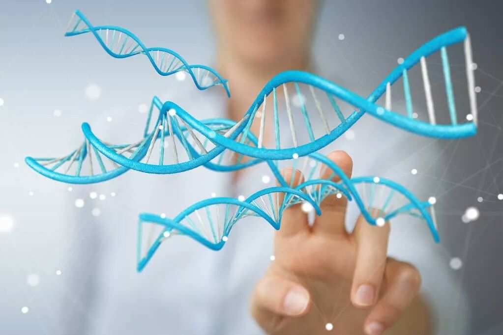 父系亲缘鉴定与母系亲缘鉴定的区别：深入了解DNA亲缘学