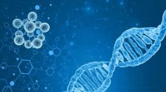 孩子与父母DNA不符怎么办？揭秘基因突变与例外情况