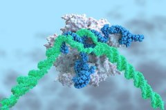 孩子和父母不像？DNA鉴定揭开家族基因的秘密