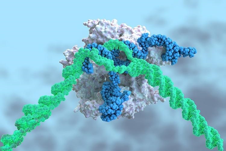 孩子和父母不像？DNA鉴定揭开家族基因的秘密