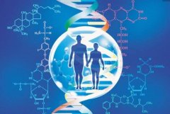 DNA检测：如何了解你的遗传信息与健康状况