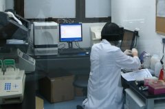 亲子鉴定实验室的质量控制：仪器校准与维护策略