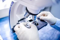亲子鉴定实验室显微镜的用途：样本质量初步检查