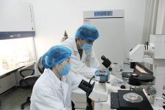 亲子鉴定仪器维护与保养：确保数据准确的关键