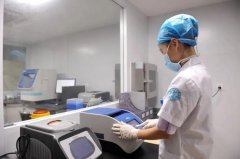 电泳仪揭秘：DNA分离技术在亲子鉴定中的应用