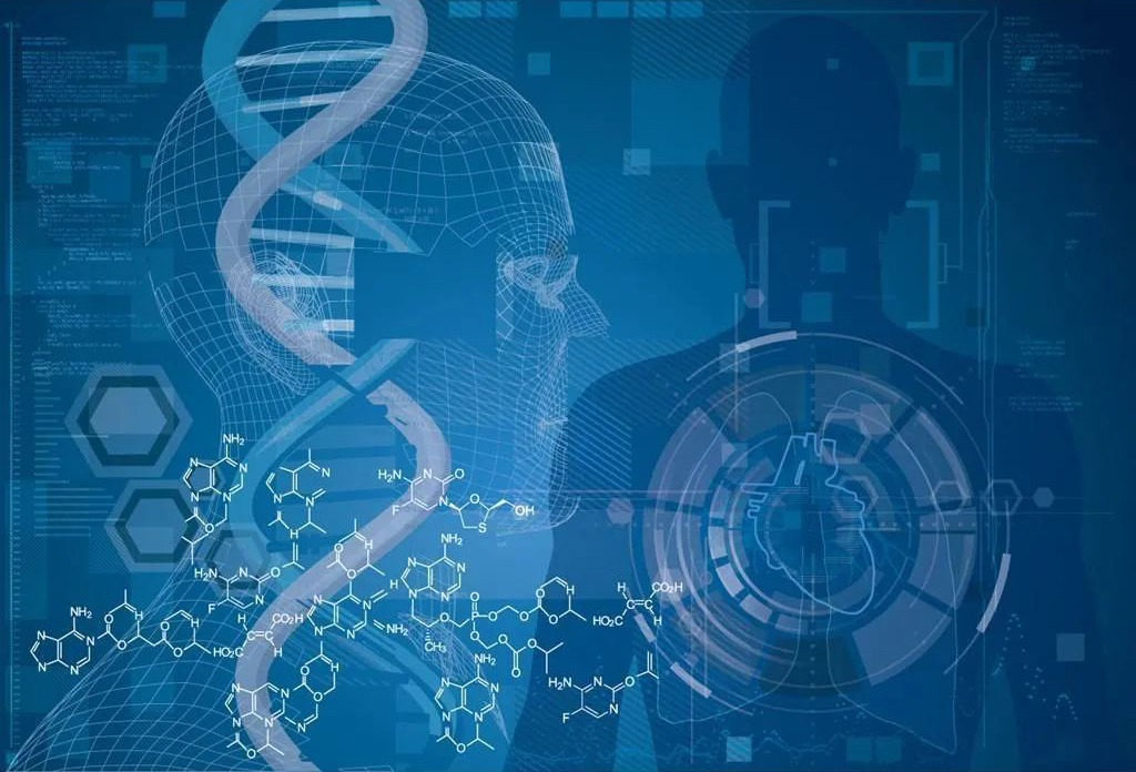 骨髓移植后的“双重DNA现象”：身体中的基因新格局