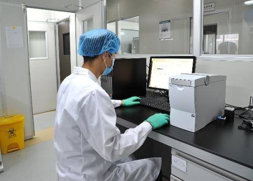 基因扩增与序列分析：亲子鉴定中如何确保结果的准确性？