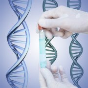 DNA鉴定与生物多样性：揭示物种之间的关系