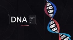 DNA鉴定的原理：我们是如何识别每个人的独特遗传信