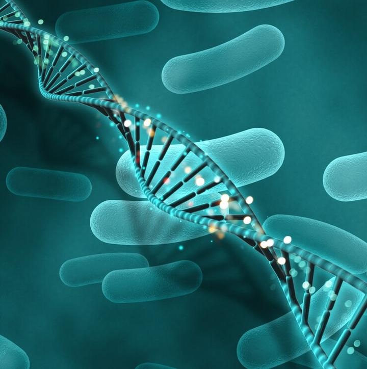 动物与植物的DNA鉴定：超越人类的基因密码