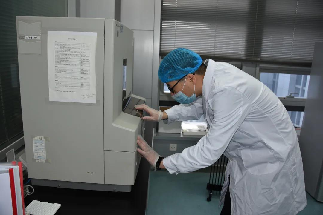 探索DNA数据库：如何用基因数据解决犯罪案件