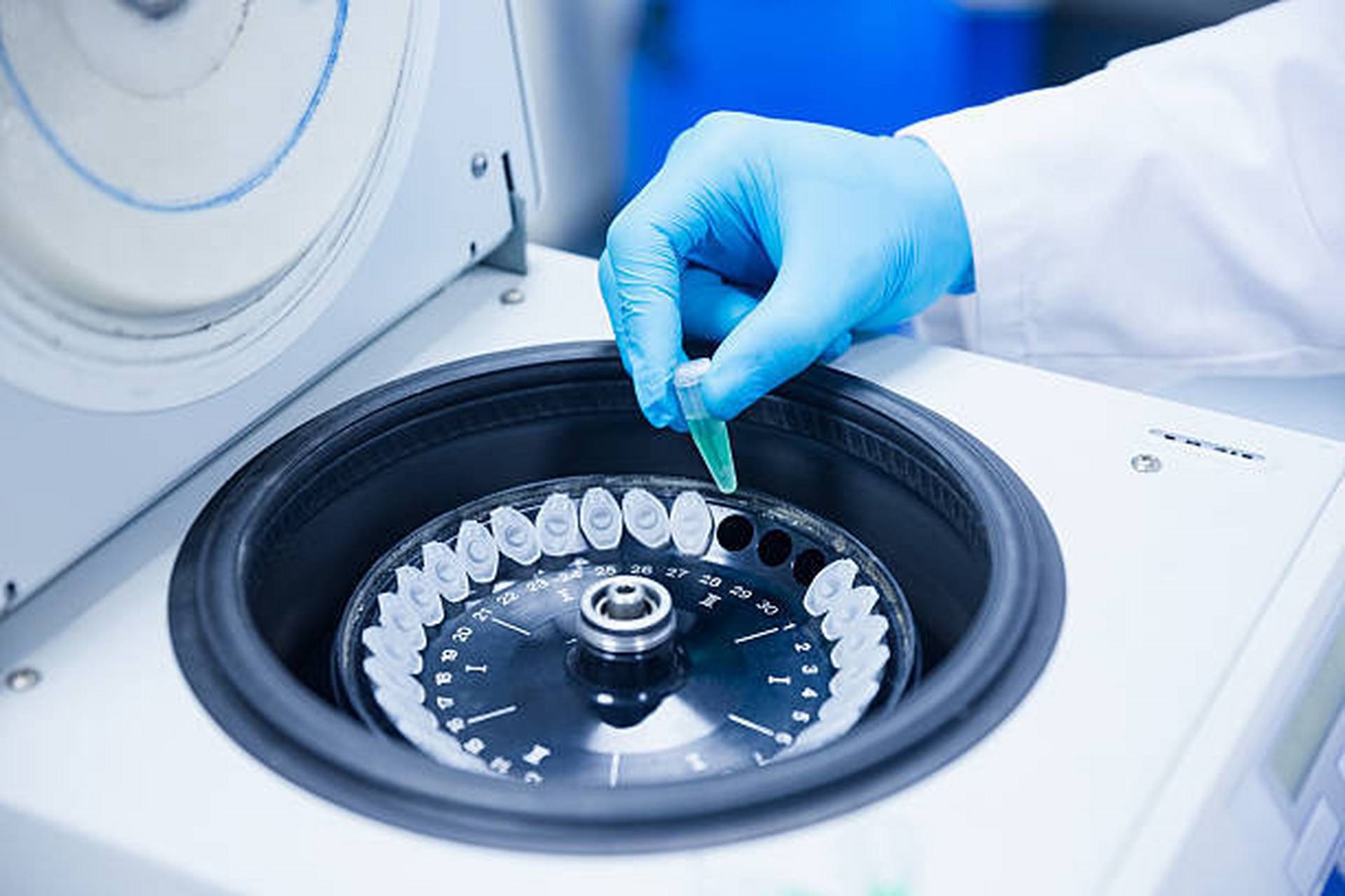 了解DNA鉴定技术：PCR、测序与电泳如何协作？