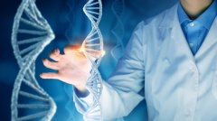 嚼过的口香糖真的能做亲子鉴定吗？揭秘背后的科学真相