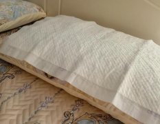枕头上的掉发能做亲子鉴定吗？条件与局限性详解