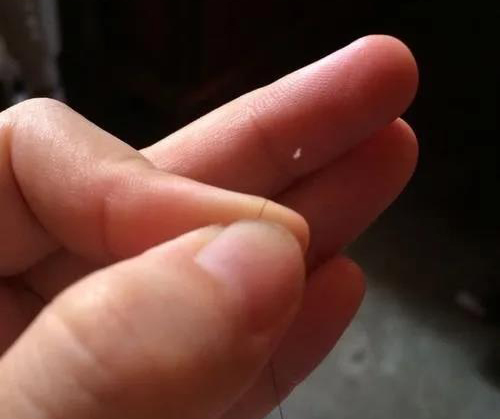 枕头上的掉发能做亲子鉴定吗？条件与局限性详解