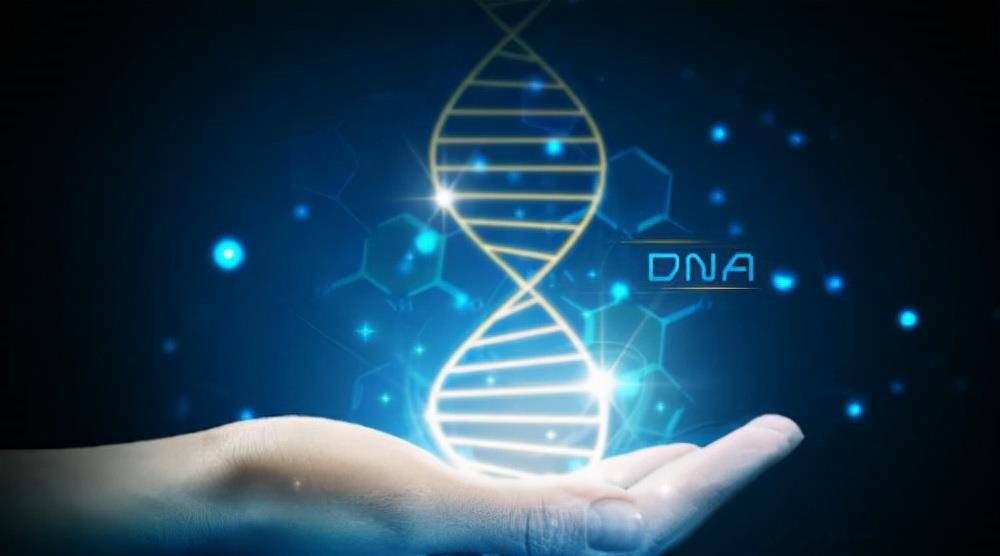 让DNA说话：通过基因信息追溯个人历史与家族渊源