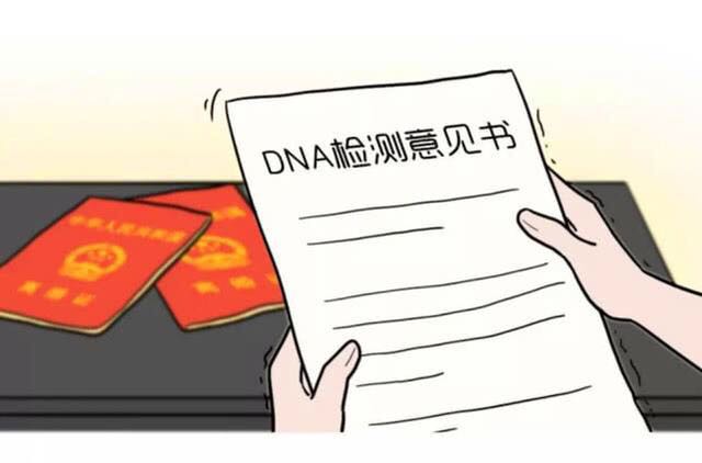一份亲子鉴定报告如何改变了我的人生