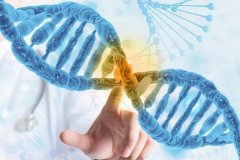 多组学整合分析：基因组、转录组与蛋白质组在亲子