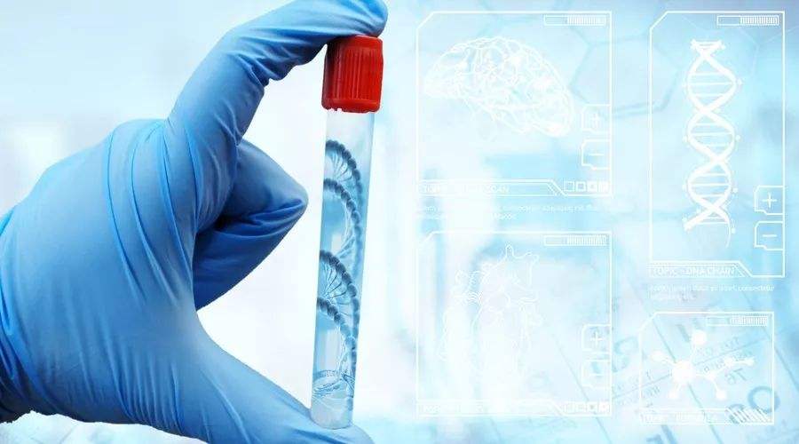 隔代、兄弟姐妹也能做血缘鉴定？DNA技术的应用边界
