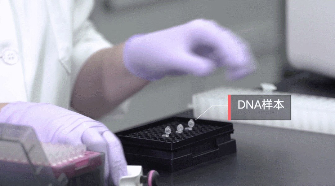 鉴定结果能否被推翻？影响DNA检测准确性的3大因素