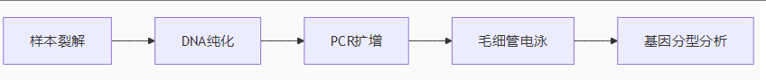 DNA如何成为“亲子关系”的终极裁判？—— 揭秘亲子鉴定科学原理