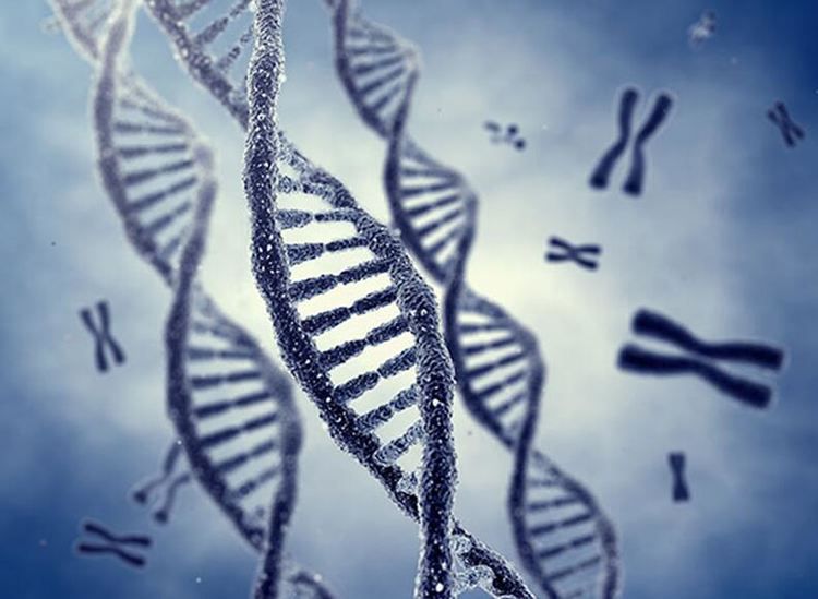 DNA如何成为“亲子关系”的终极裁判？—— 揭秘亲子鉴定科学原理