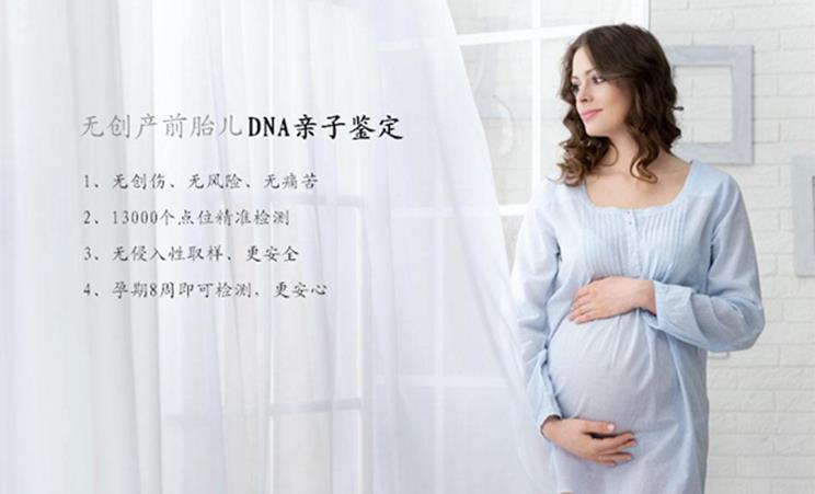 黄石怀孕期间亲子鉴定指南：安全、费用、时间与机构详解