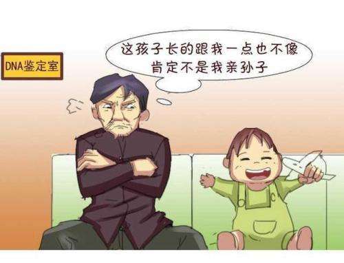 血缘与养育的天平：当亲子鉴定结果冲击家庭，情感与科学如何共处？