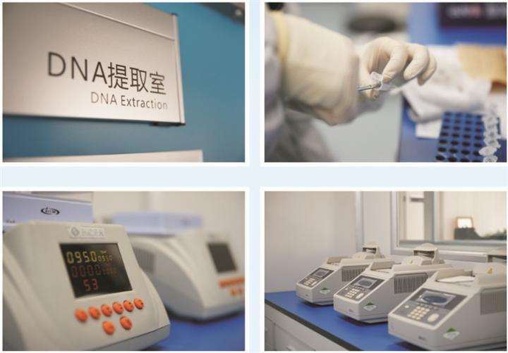 担心结果不准？揭秘亲子鉴定实验室：如何保证万无一失