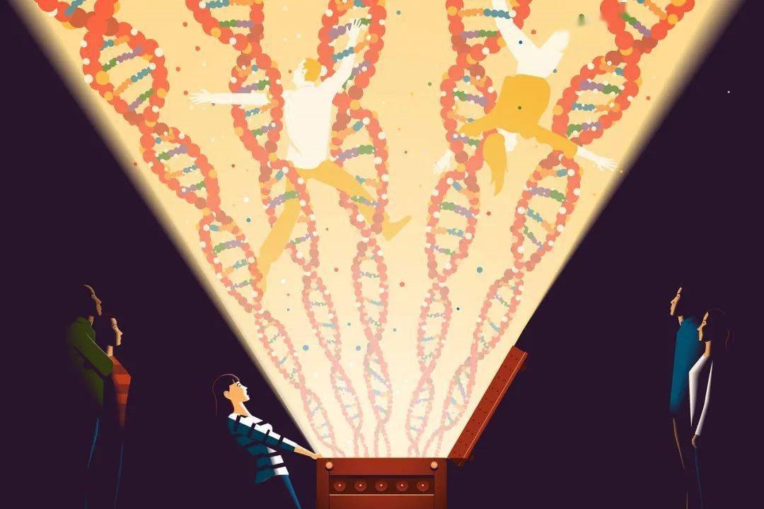 当AI遇见DNA：下一代亲子鉴定，精准度正在突破想象极限