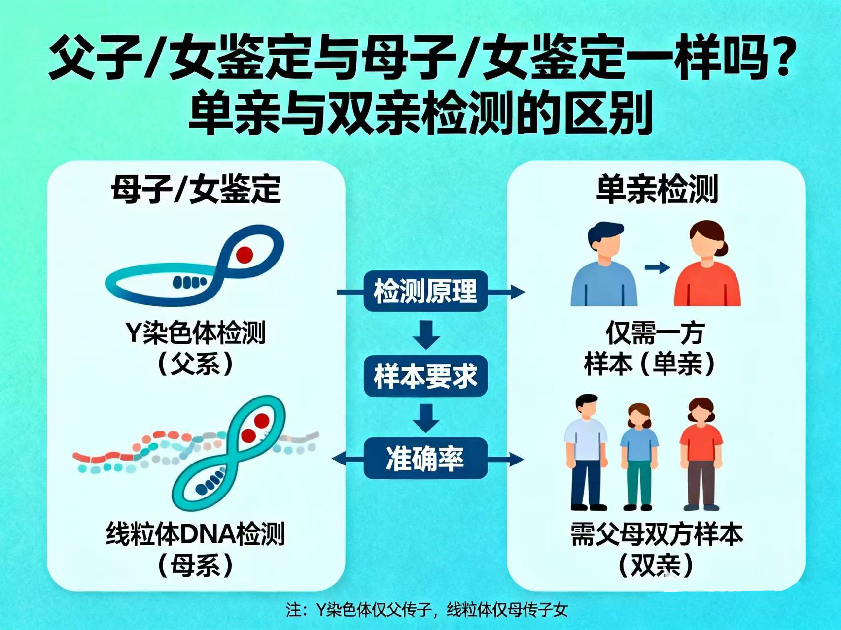 父子/女鉴定和母子/女鉴定一样吗？单亲与双亲检测的区别
