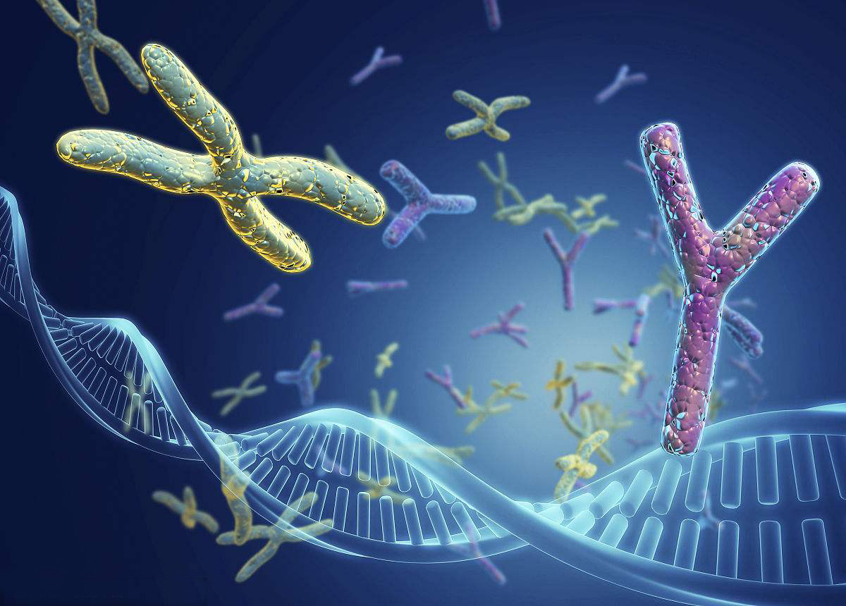 隔代能做亲缘鉴定吗？解开叔侄、爷孙等复杂血缘关系之谜