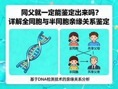 同父就一定能鉴定出来吗？详解全同胞与半同胞亲缘关系鉴定