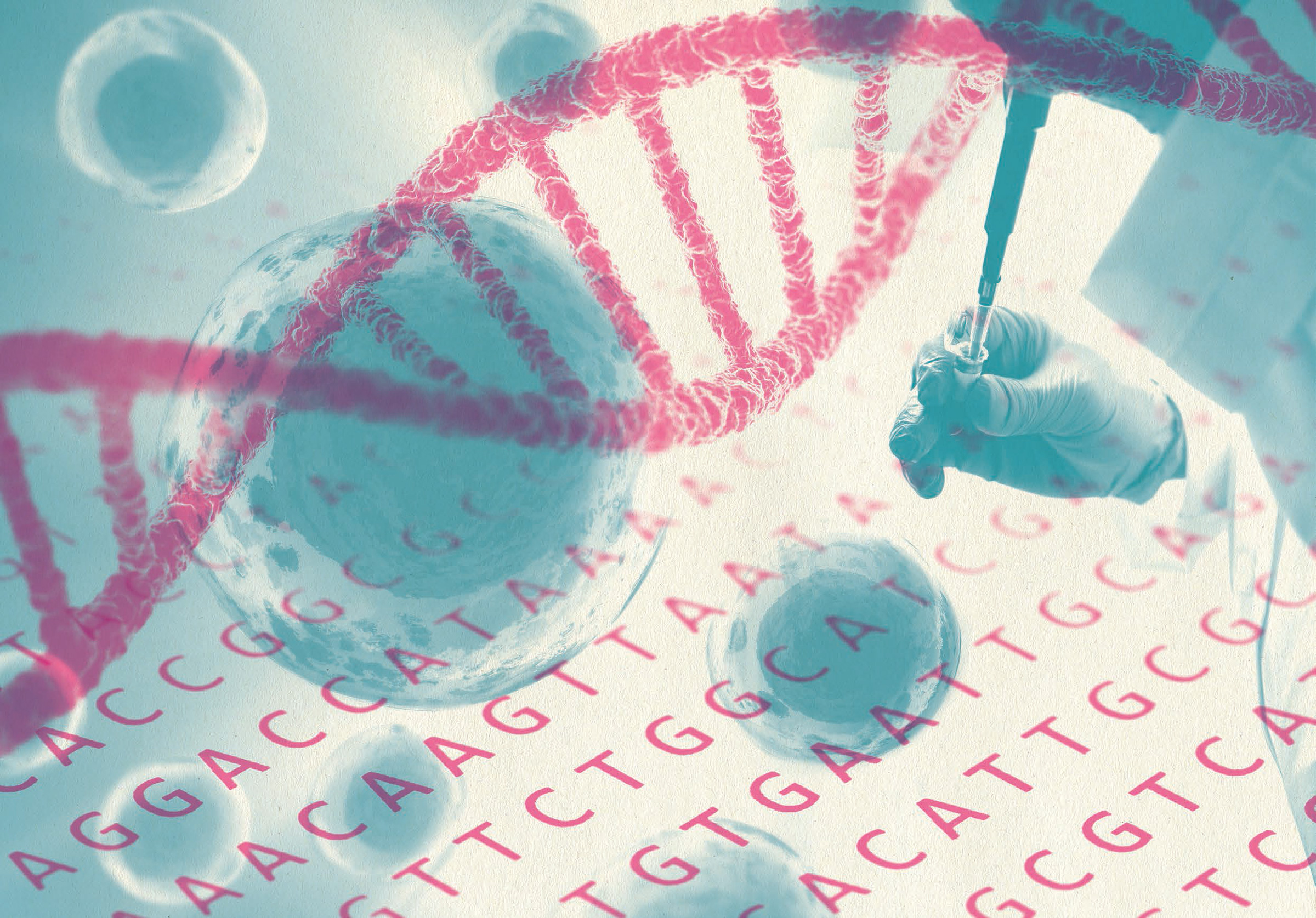 从滴血认亲到DNA测序：亲子鉴定技术的前世今生