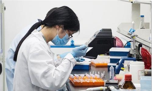 “微量”证据的威力：DNA扩增与检测技术的极限突破