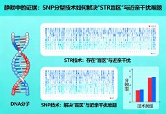 静默中的证据：SNP分型技术如何解决“STR盲区”与近亲干扰难题