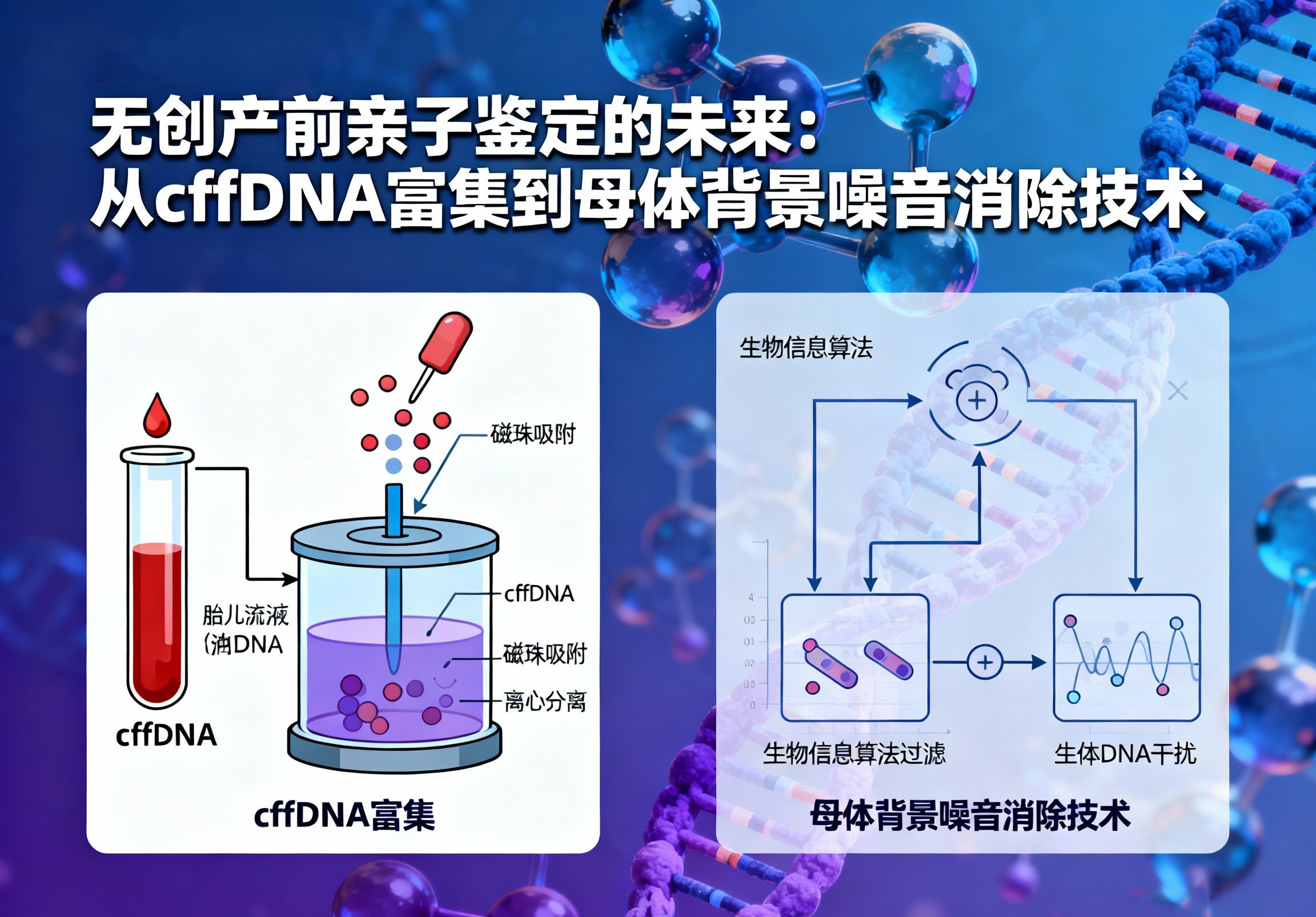 无创产前亲子鉴定的未来：从cffDNA富集到母体背景噪音消除技术