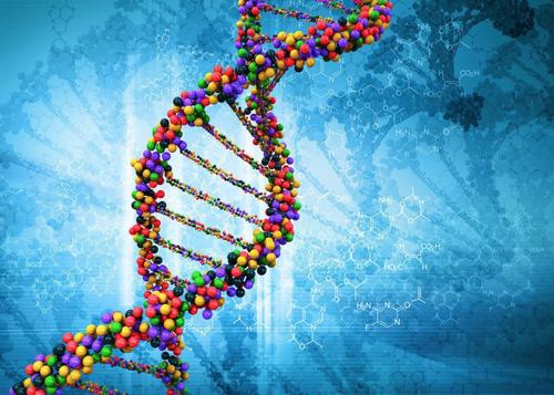 双胞胎爸爸，能做亲子鉴定分出谁是生父吗？