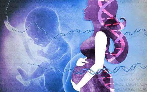 怀孕5周就能做鉴定？是的，而且无需‘闯红灯’”—— 无创胎儿亲子鉴定揭秘